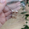 Doggo with bone (Brązowy Ver.) - Cows in Clouds - Keycap Figurka