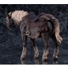 Elden Ring - Torrent, the Spectral Steed - Figma