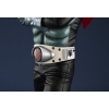Kamen Rider - Kamen Rider Ichigo - Ultimate Article