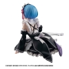 Re: Zero - Rem - Melty Princess, Palm Size