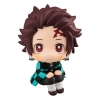Demon Slayer - Tanjiro Kamado - Look Up