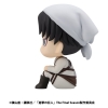 Attack on Titan - Levi (Cleaning up Ver.) - Look Up