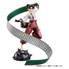 Naruto Shippuden - Tenten - Naruto Gals