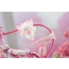 Honkai Impact 3rd - Elysia (Hi Love Elf Ver. With Bonus) - Scale 1/7
