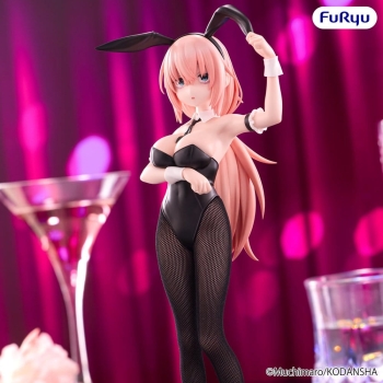 There Is Also a Hole in the Student Organization! - Komaro Michinoku - BiCute Bunnies