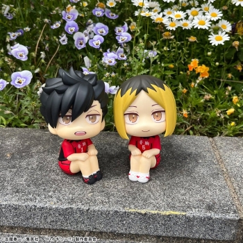 Haikyu!! - Tetsuro Kuroo (Uniform Ver.) - Look Up