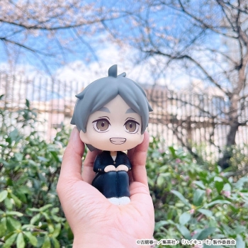 Haikyu!! - Koushi Sugawara - Look Up