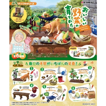 Vegetable Harvesting - Blind Box