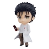 Steins Gate - Rintaro Okabe (2.0 Ver.) - Nendoroid