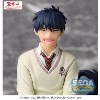 Blue Exorcist - Rin Okumura - PM Perching