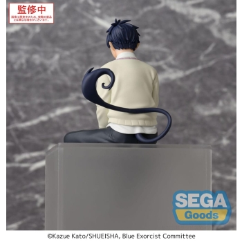 Blue Exorcist - Rin Okumura - PM Perching