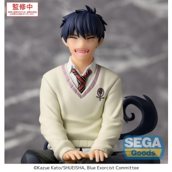 Blue Exorcist - Rin Okumura - PM Perching