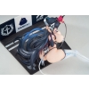 Azur Lane - Strasbourg (Faerie of the Race Circuit Ver.)