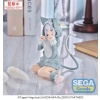 Re: Zero - Emilia (Mofumofu Pack Ver.) - Yumemirize
