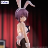 The Melancholy of Haruhi Suzumiya - Yuki Nagato - BiCute Bunnies