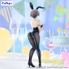 Uzaki-chan Wants to Hang Out! - Hana Uzaki - BiCute Bunnies