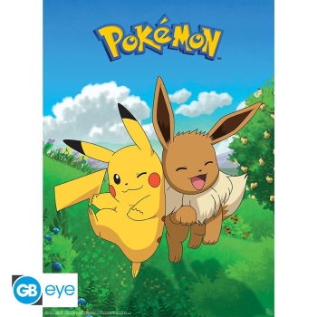 Pokemon - Environments - Zestaw plakatów (52 x 38 cm)