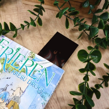 Zaakceptuj Chaos - Zakładka