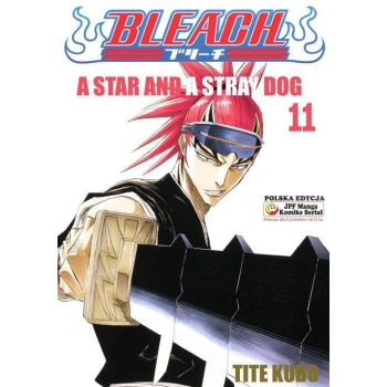 Bleach #11