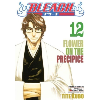 Bleach #12