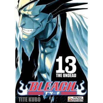 Bleach #13
