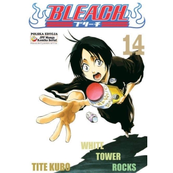 Bleach #14