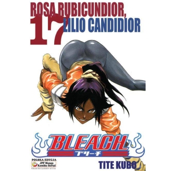 Bleach #17