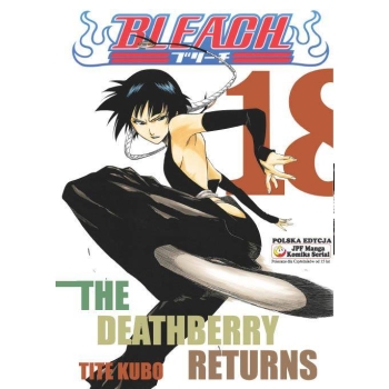 Bleach #18