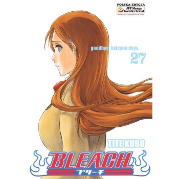 Bleach #27