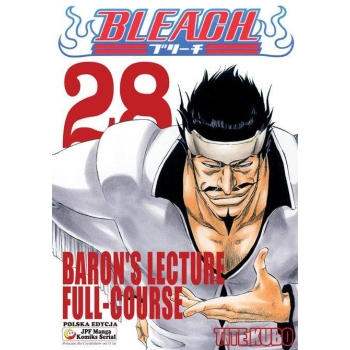 Bleach #28