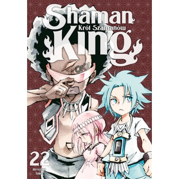 Shaman King #22