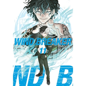 Wind Breaker #11