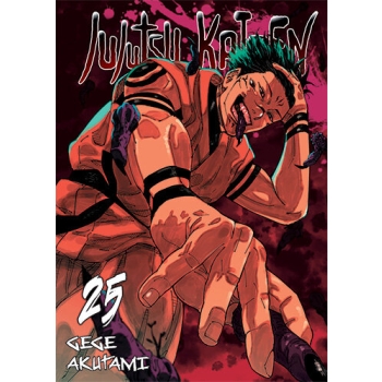 Jujutsu kaisen #25