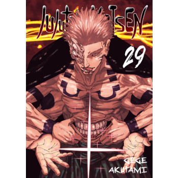 Jujutsu kaisen #29