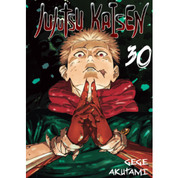 Jujutsu kaisen #30